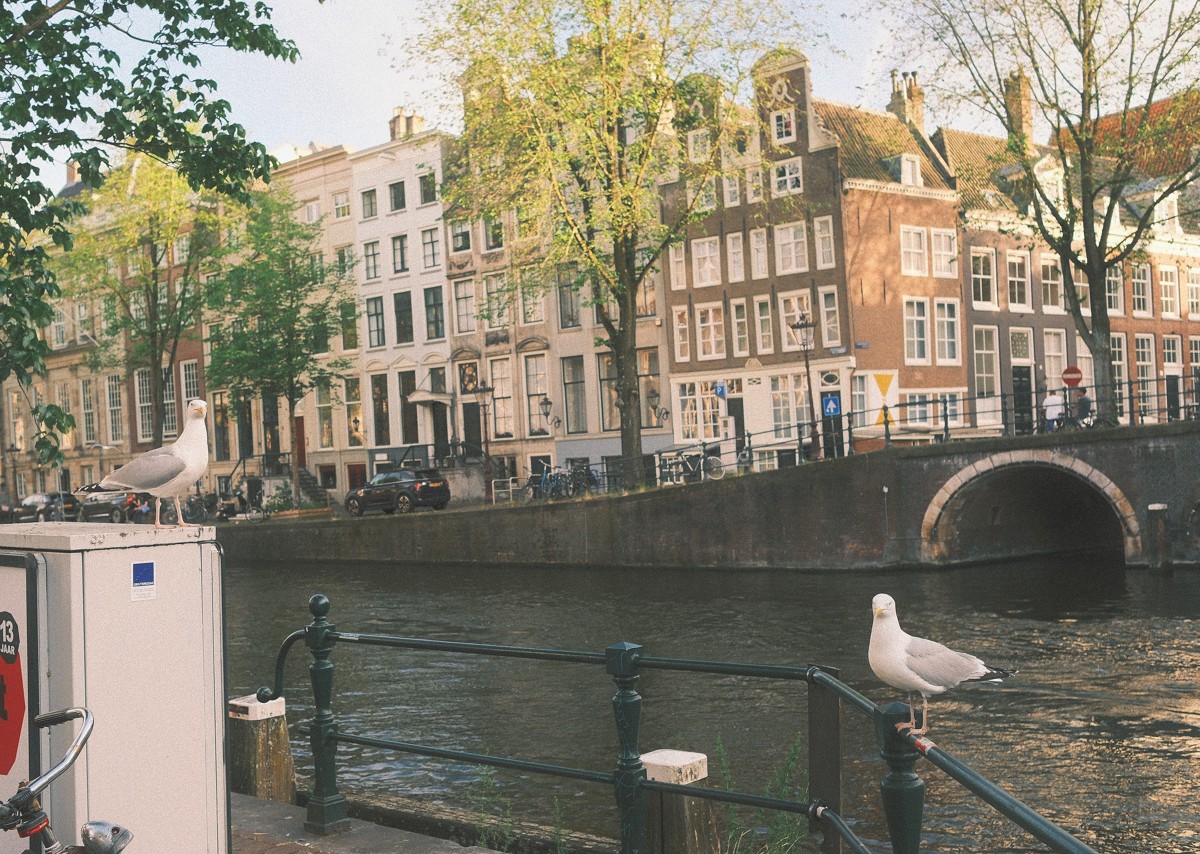 Netherlands
