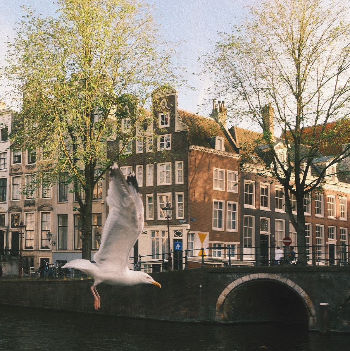 Netherlands