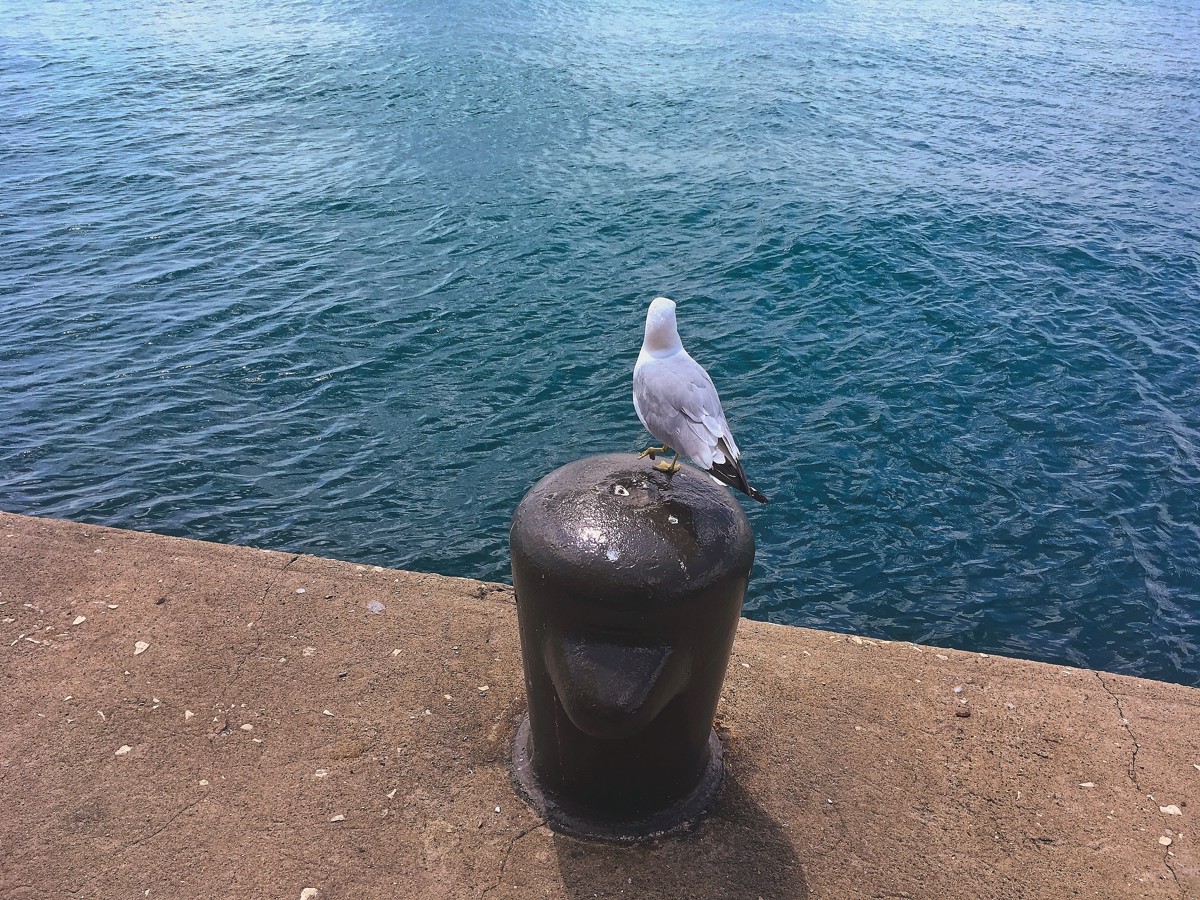 Chicago