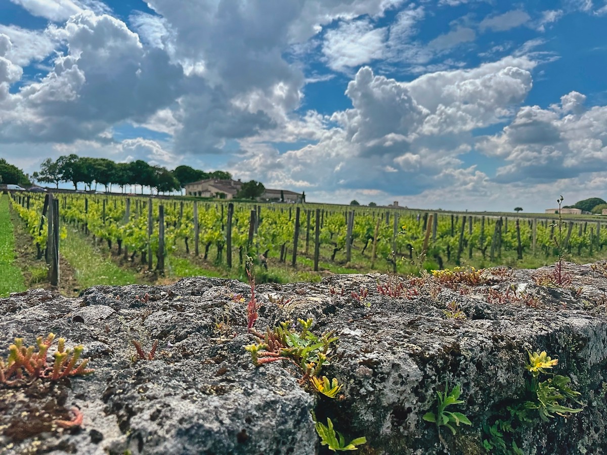 Bordeaux, Southern France