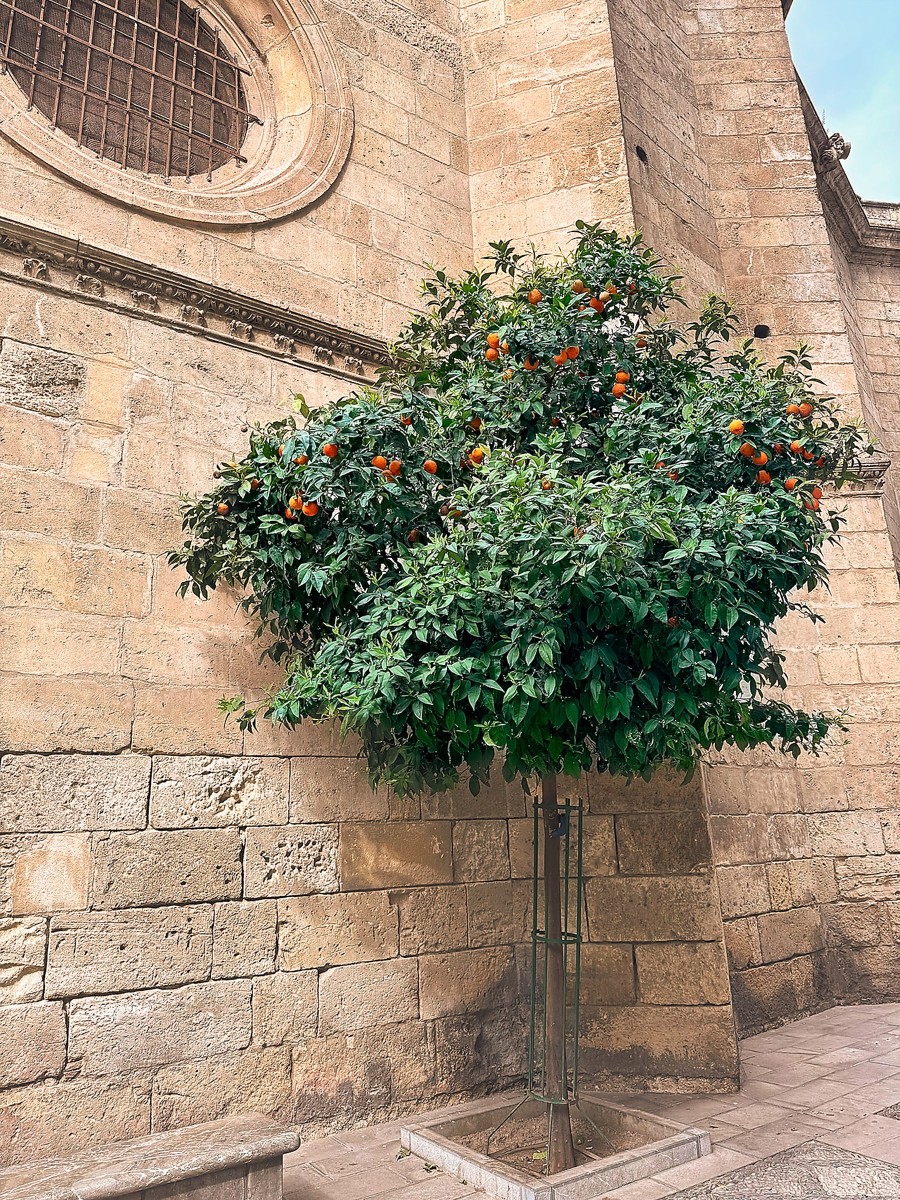 Granada, Spain