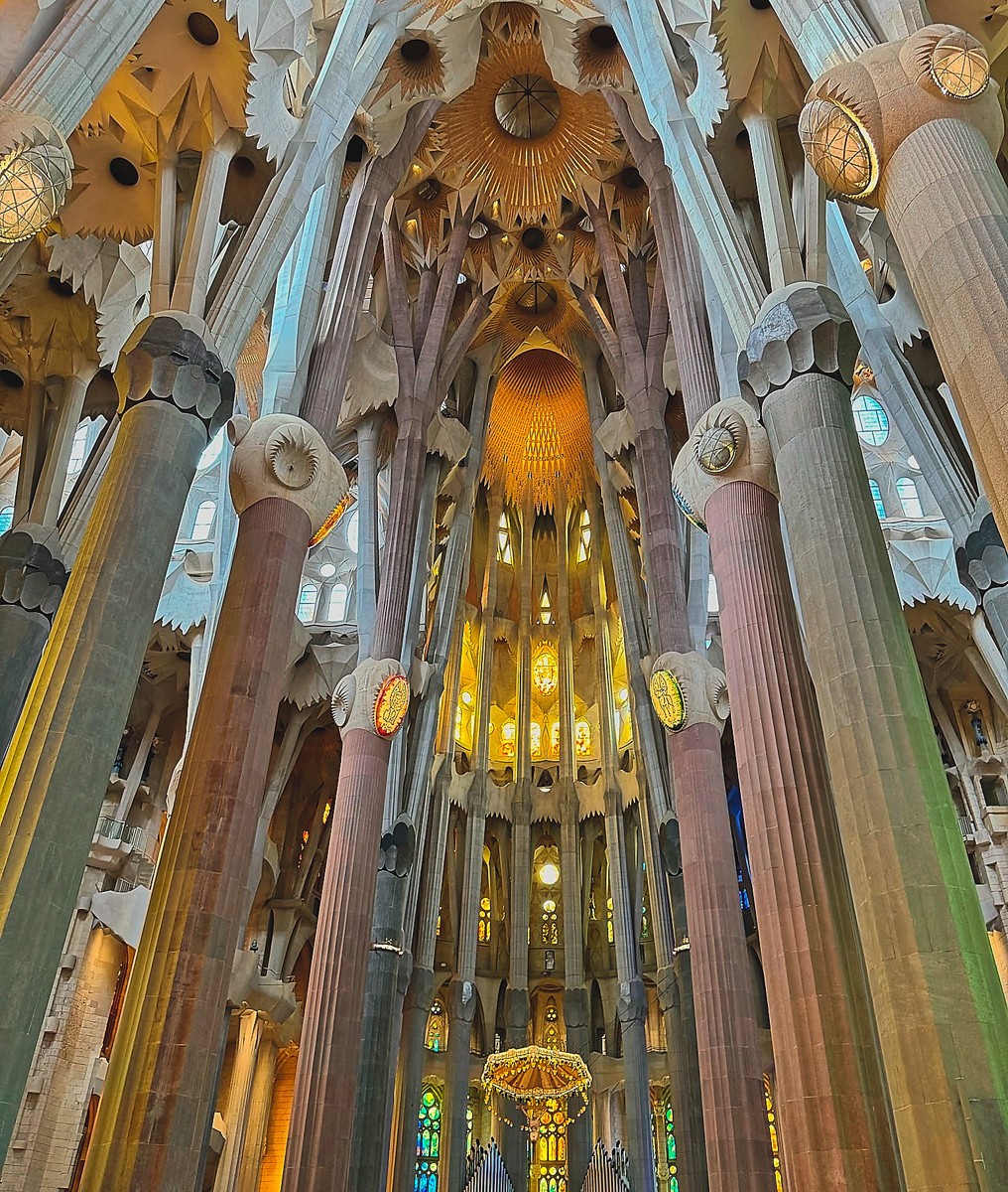 Gaudí shaped the Sagrada Família’s columns like branching trees, turning stone into a forest.